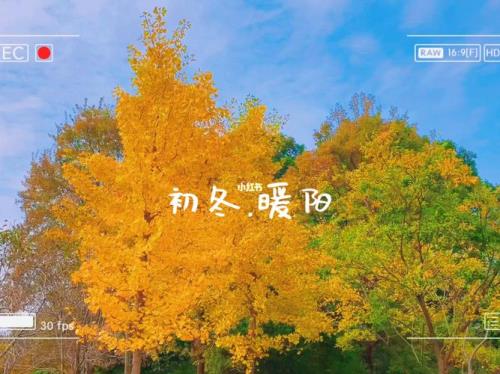 不负时光不负秋的经典诗