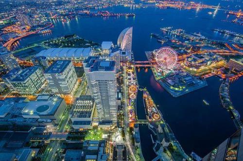 南栀司亭川结局