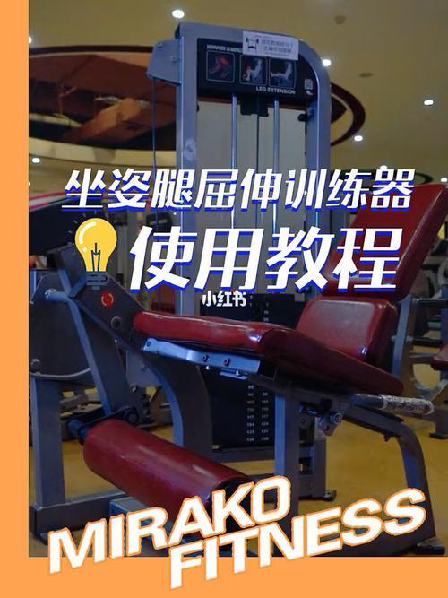 坐姿腿屈伸重量多少合格