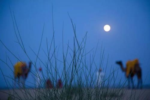 遥夜迟迟烛有花解析