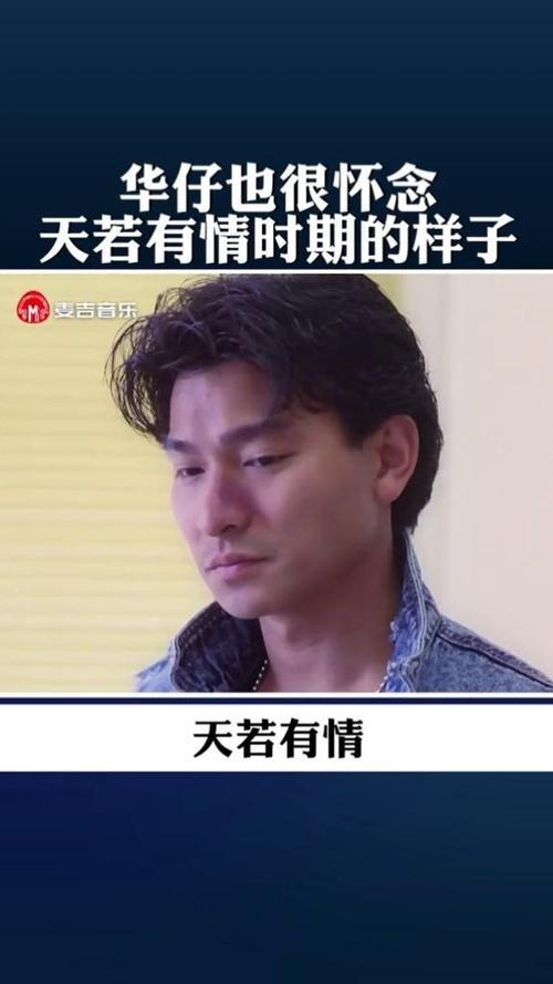 天若有情亦无情是什么歌