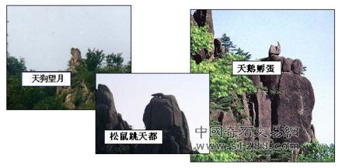老僧采药仿写句子
