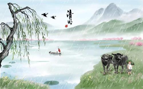 高人洗桐树的典故