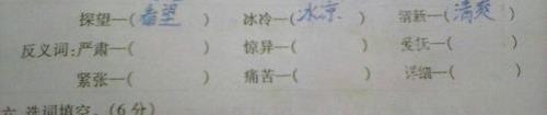 双休的反义词