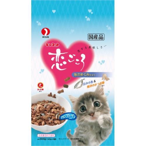 600g猫多大