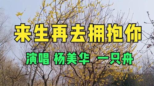 来生再来拥抱你的好句子