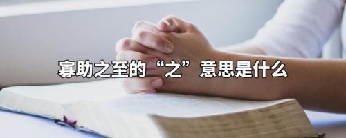 无意义什么意思