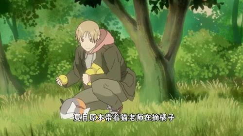 夏目是什么意思