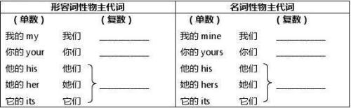 名词单数为啥后用has
