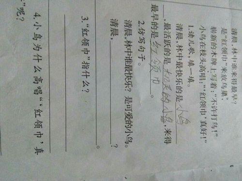 仿写含有连续动词的句子3处