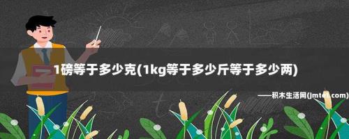 一磅等于多少克啊