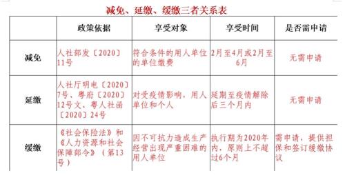 公司的社会政策是什么意思