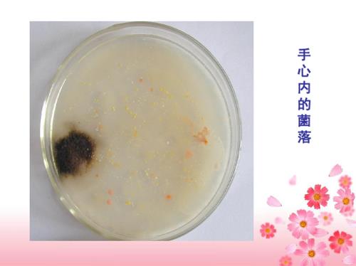 细菌也需要空气为什么
