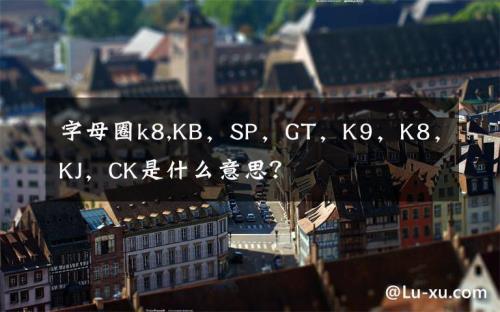 sp是什么意思