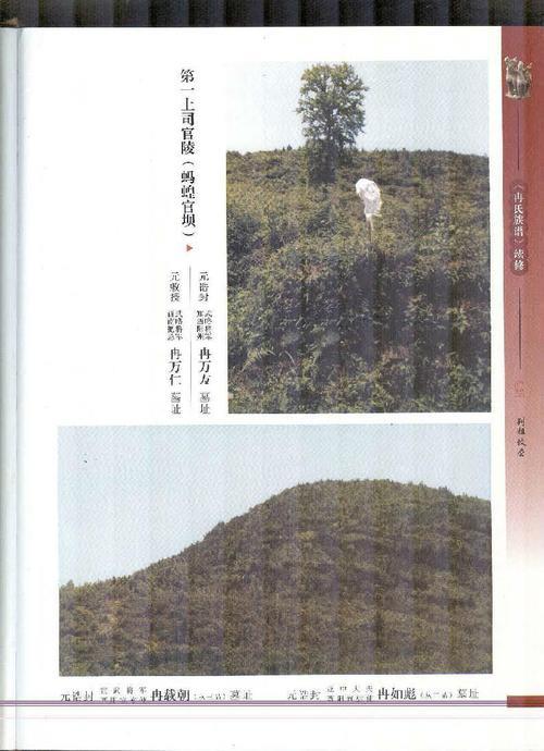 山东冉姓最多的地方是哪
