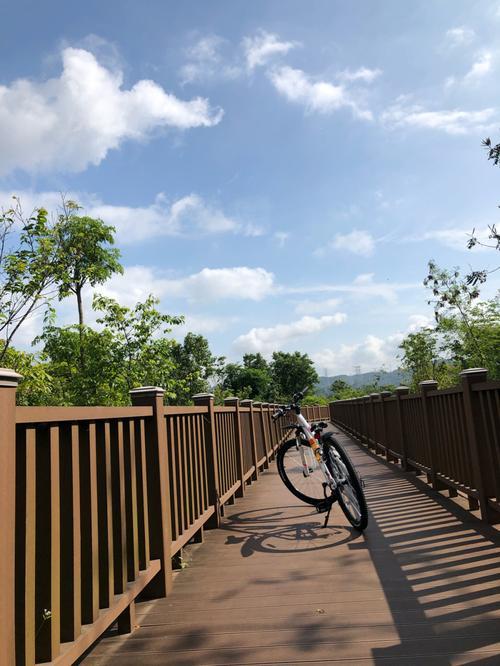 石岩湖环湖绿道攻略