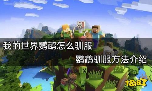 我的世界鹦鹉怎么放进玻璃