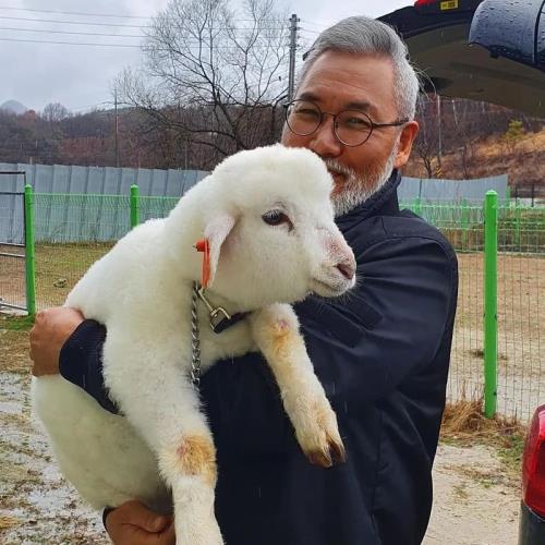 羊到底能不能去洗澡