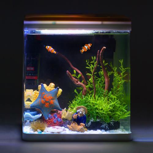 为什么小鱼喜欢贴在鱼缸壁上