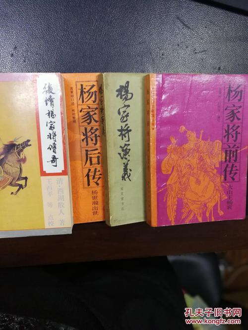 杨家将外传小说全文阅读