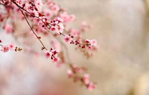 春景当思什么意思