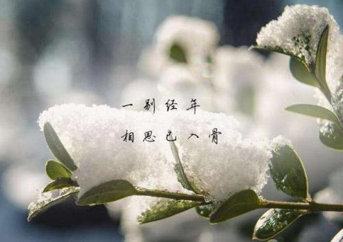 冷暖自知的诗句