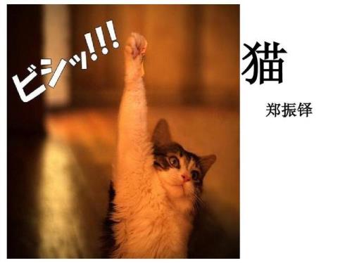 关于郑振铎猫的对联