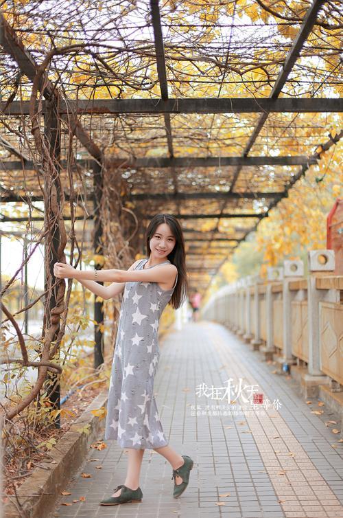 我在秋天等你是什么歌