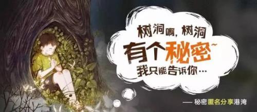 树洞的含义