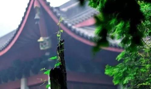 自信的最高境界是