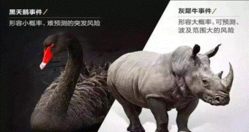 什么是灰犀牛
