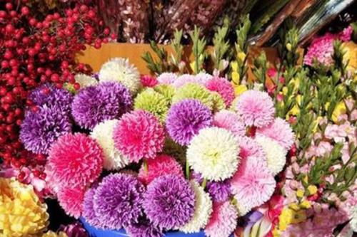 广东十大年花
