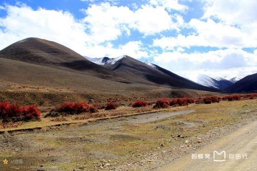 子梅垭口封山了吗