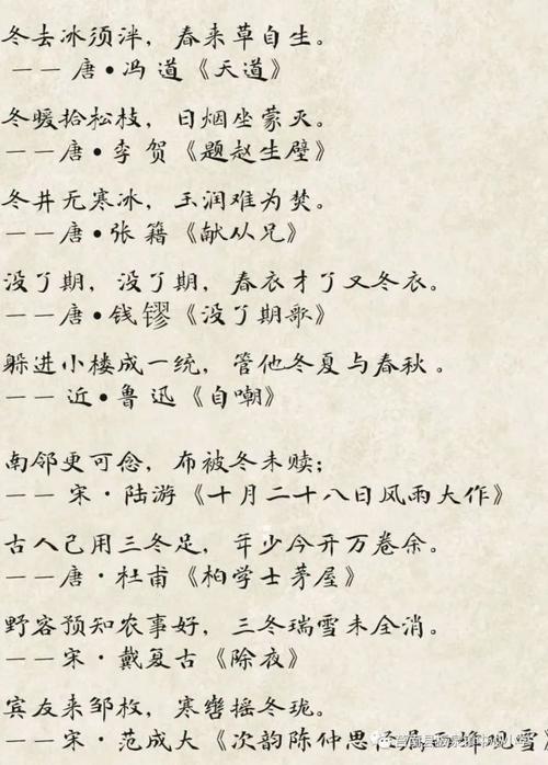清辉飞花令