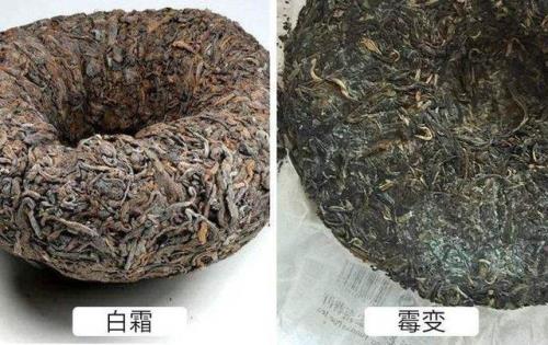 发酵与变质的区别