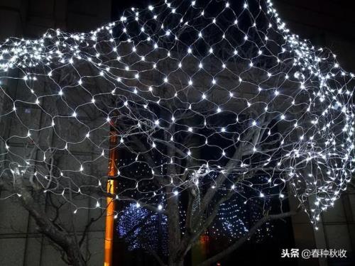 灯光摇曳的意思