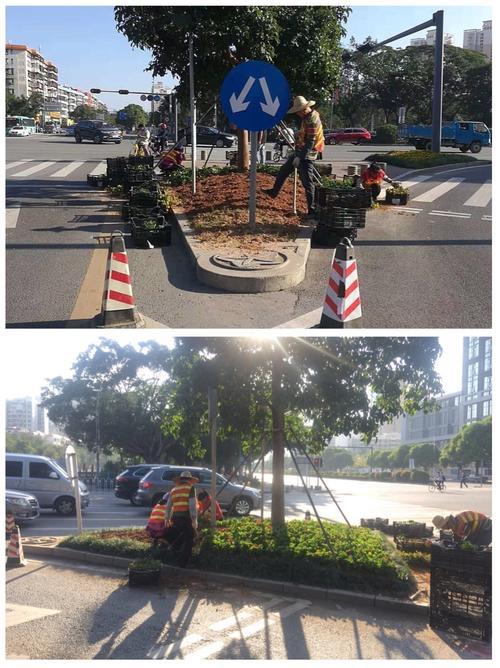 渠化岛是什么