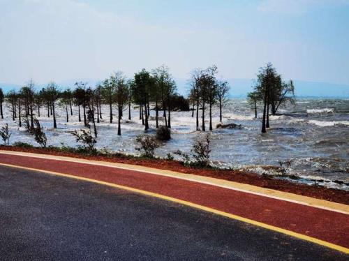 抚仙湖环湖路多少公里