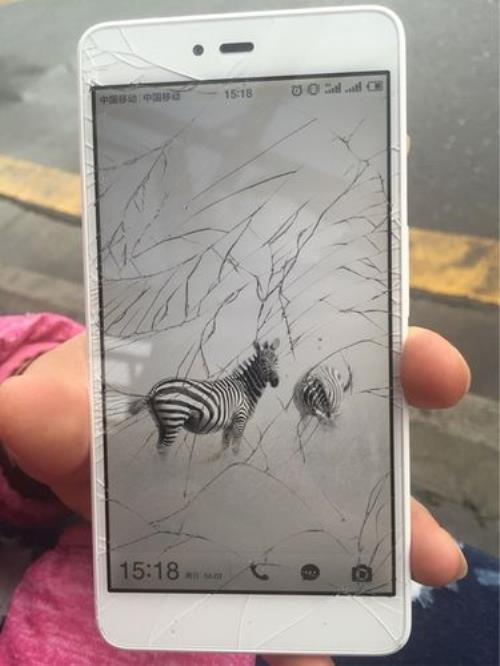 手机屏掉下来了怎么办