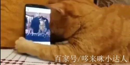 我失去的双眼李湘宜大结局