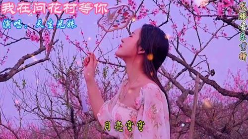 我在问花村等你什么意思