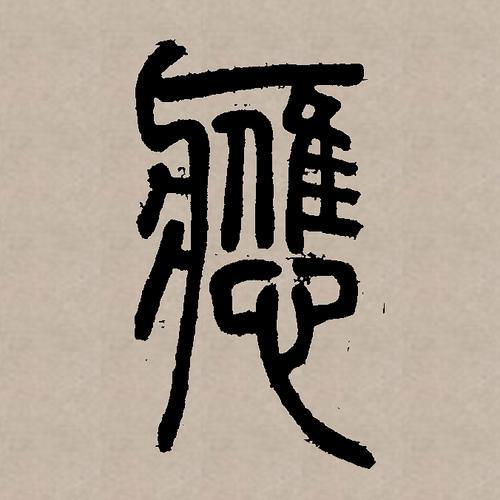 应声而来，应什么解释