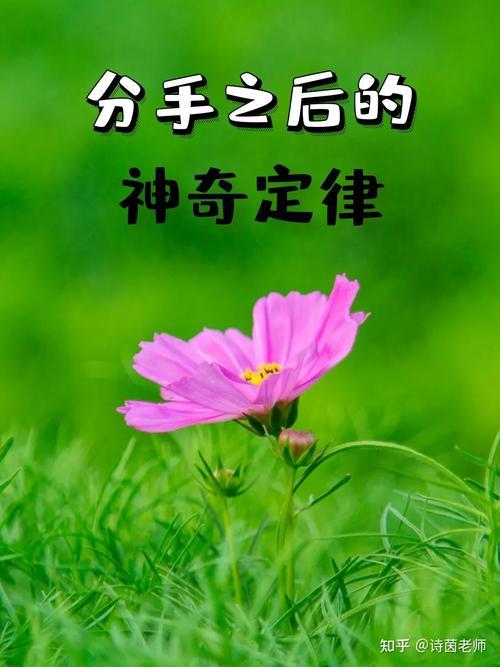 男女分手时产生的八大神奇定律