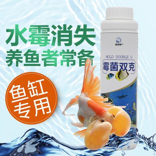 水霉鱼缸升温到33度严重吗
