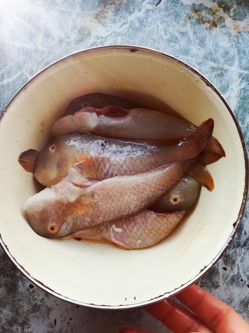 深海鱼红鱼做法