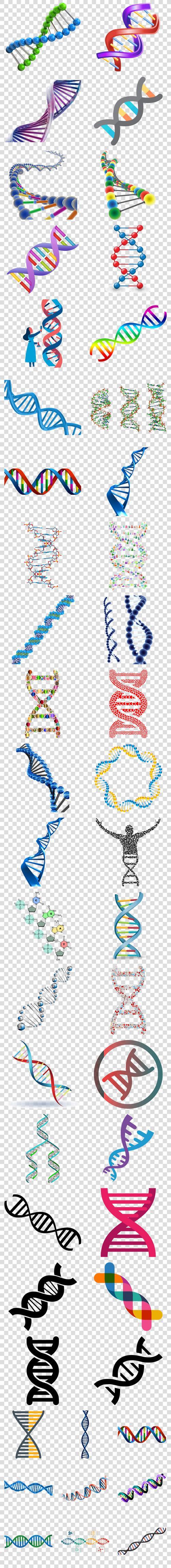 Dna分子的结构是什么结构