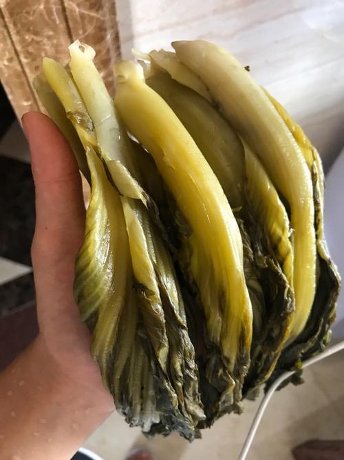 腌制酸菜的温度多少合适