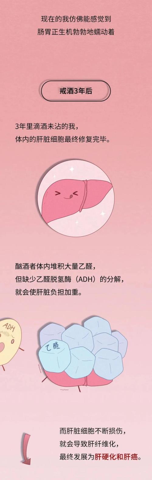戒酒的好处
