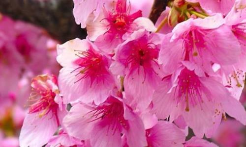 4月份是什么季节