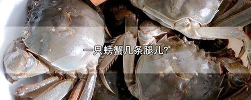 螃蟹几条腿正确答案